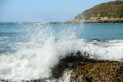 DSC_2644 (Large).JPG